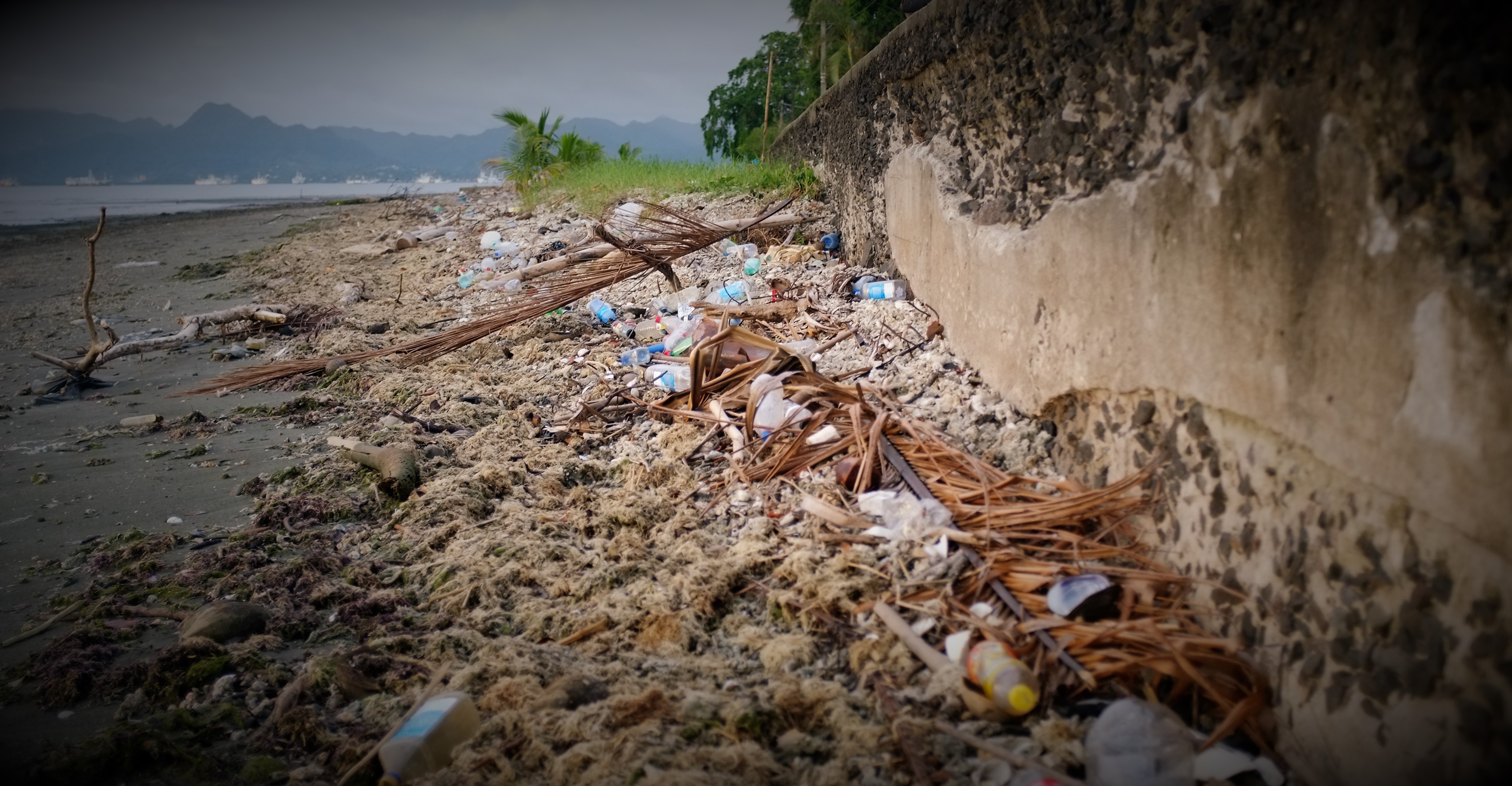 Plastic on suva foreshore