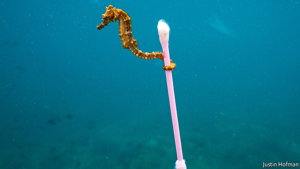 Plastic seahorse