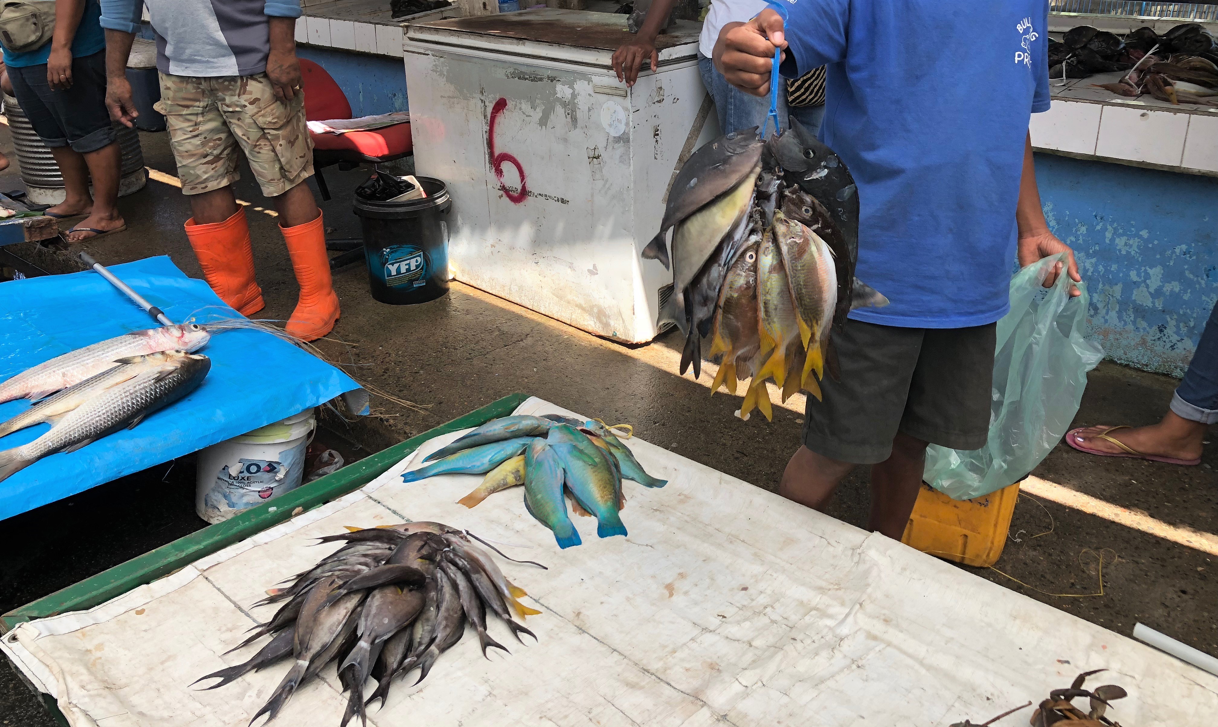 Suva fish market