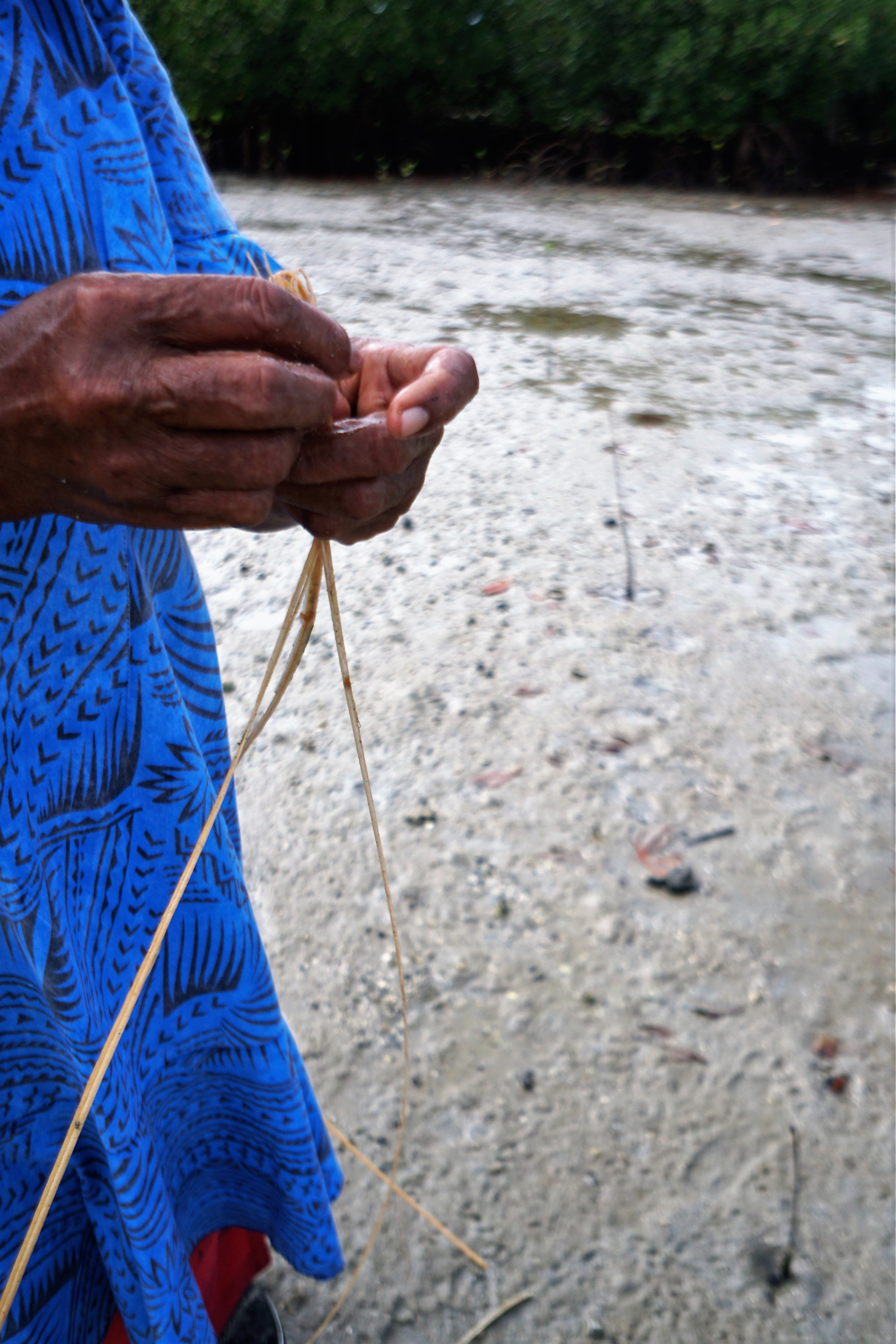 Traditional crab 